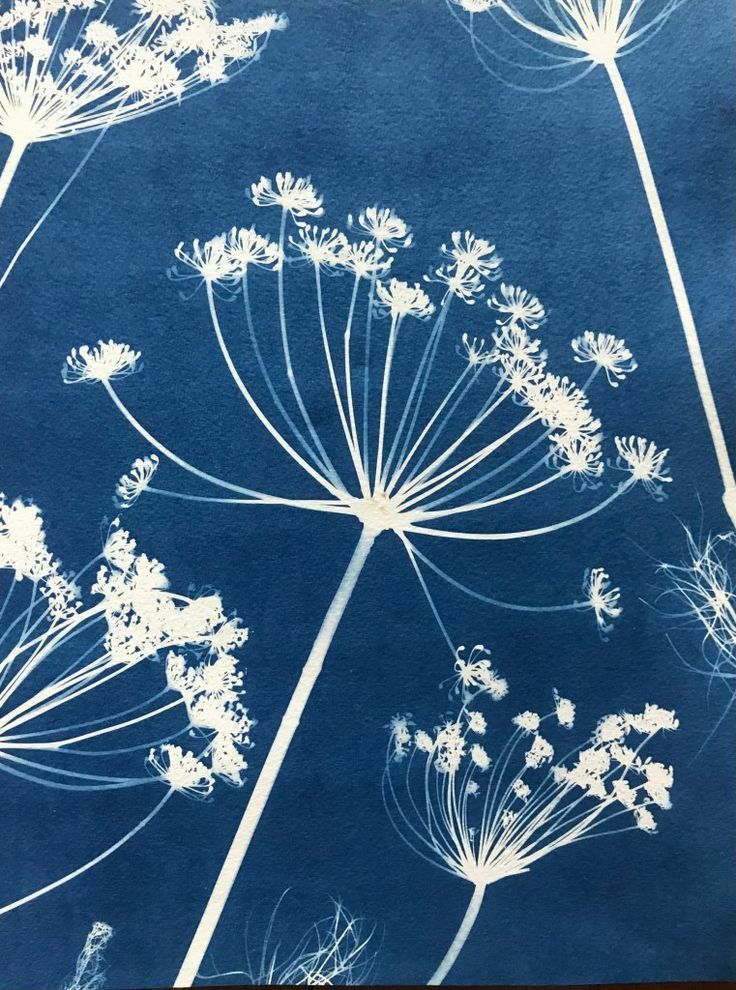 Strumenti che sfruttano le frequenze dei colori della luce