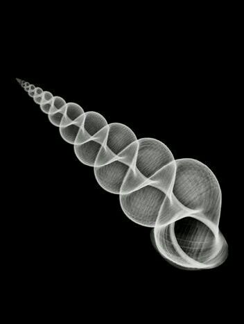 Riequilibrio energetico e fisico